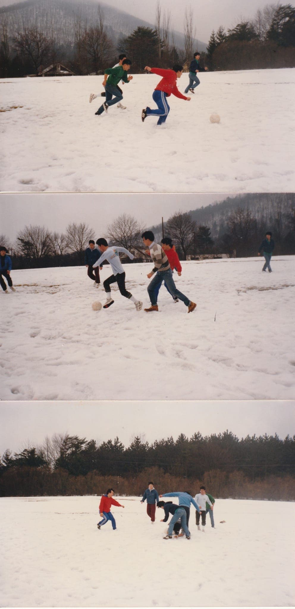 1981년 교회 창립 준비